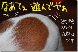今日カズ０９０９１５　２