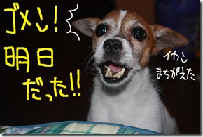 今日カズ０９０９１５　６