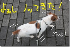 今日カズ０９０９１６　６