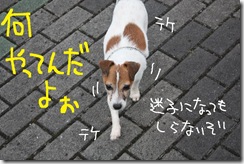 今日カズ０９０９１６　８