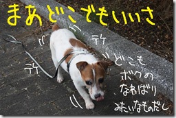 今日カズ０９０９１６　２