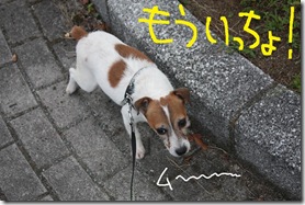 今日カズ０９０９１６　４