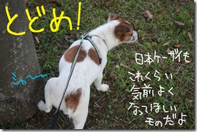 今日カズ０９０９１６　５