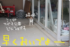 今日カズ０９０９１６　９