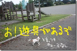 今日カズ０９０９１６　１０