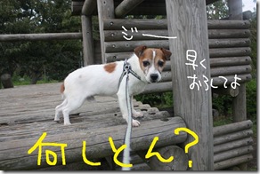 今日カズ０９０９１６　１１