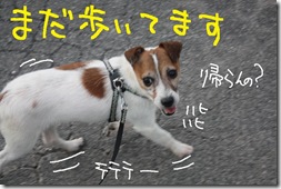 今日カズ０９０９１６　１１７