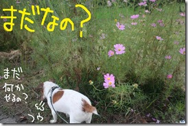 今日カズ０９０９１６　１９