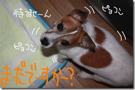 今日カズ０９０９１７　１