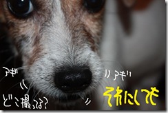 今日カズ０９０９１７　９