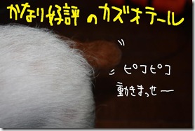 今日カズ０９０９１８　３