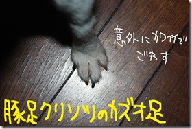 今日カズ０９０９１８　４