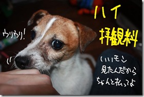 今日カズ０９０９１８　５