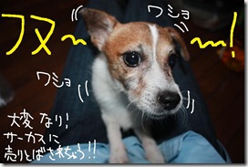 今日カズ０９０９１８　７