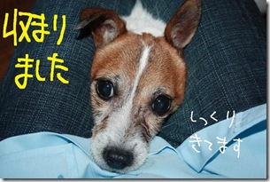 今日カズ０９０９１８　９