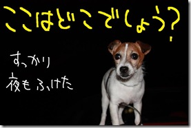今日カズ０９０９１９　２