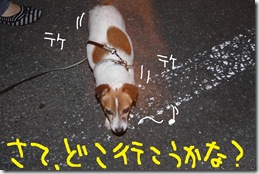 今日カズ０９０９１９　５