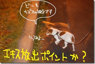 今日カズ０９０９１９　７