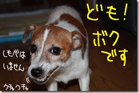 今日カズ０９０９２１　１