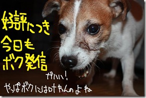 今日カズ０９０９２２　１