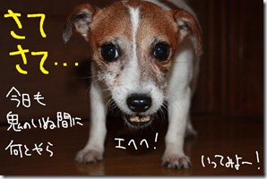 今日カズ０９０９２３　１