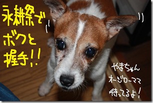 今日カズ０９０９２３　６
