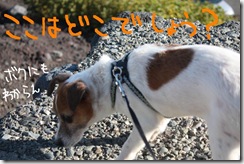 今日カズ０９０９２４　１