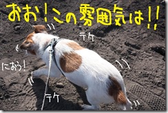 今日カズ０９０９２４　２
