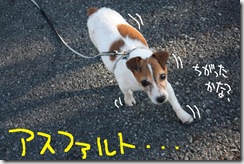 今日カズ０９０９２４　３