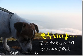 今日カズ０９０９２４　１９