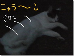 今日カズ０９０９２６　２