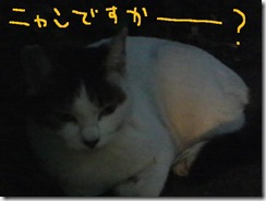 今日カズ０９０９２６　３