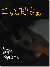今日カズ０９０９２６　４