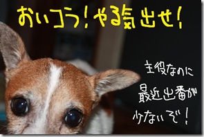 今日カズ０９０９２６　６