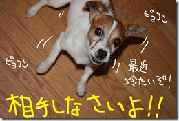 今日カズ０９０９２７　１
