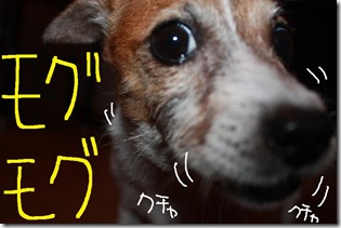 今日カズ０９０９２７　６