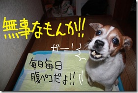 今日カズ０９０９２８　１