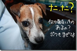 今日カズ０９０９２８　３