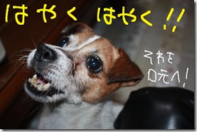 今日カズ０９０９２９　３