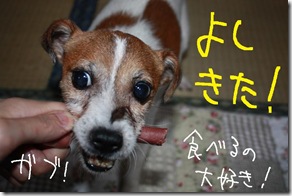今日カズ０９０９２９　５