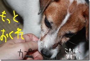 今日カズ０９０９２９　６