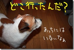 今日カズ０９０９３０　４