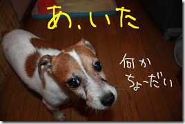 今日カズ０９０９３０　５