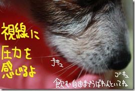 今日カズ０９０９３０　８