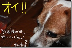 今日カズ０９１００１　２