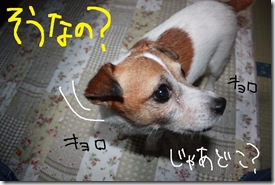 今日カズ０９１００１　４