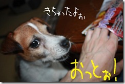 今日カズ０９１００１　５