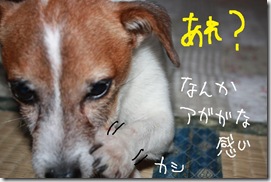 今日カズ０９１００１　７