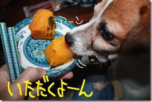 今日カズ０９１００１　１３