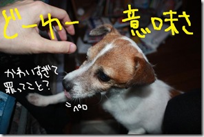 今日カズ０９１００２２